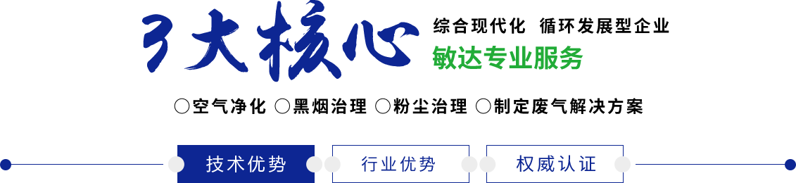 日逼性爱视频网敏达环保科技（嘉兴）有限公司